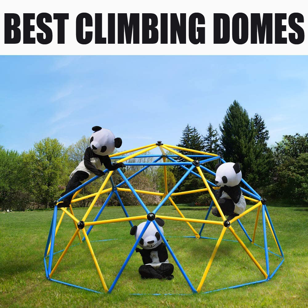 pandas on kids climbing dome